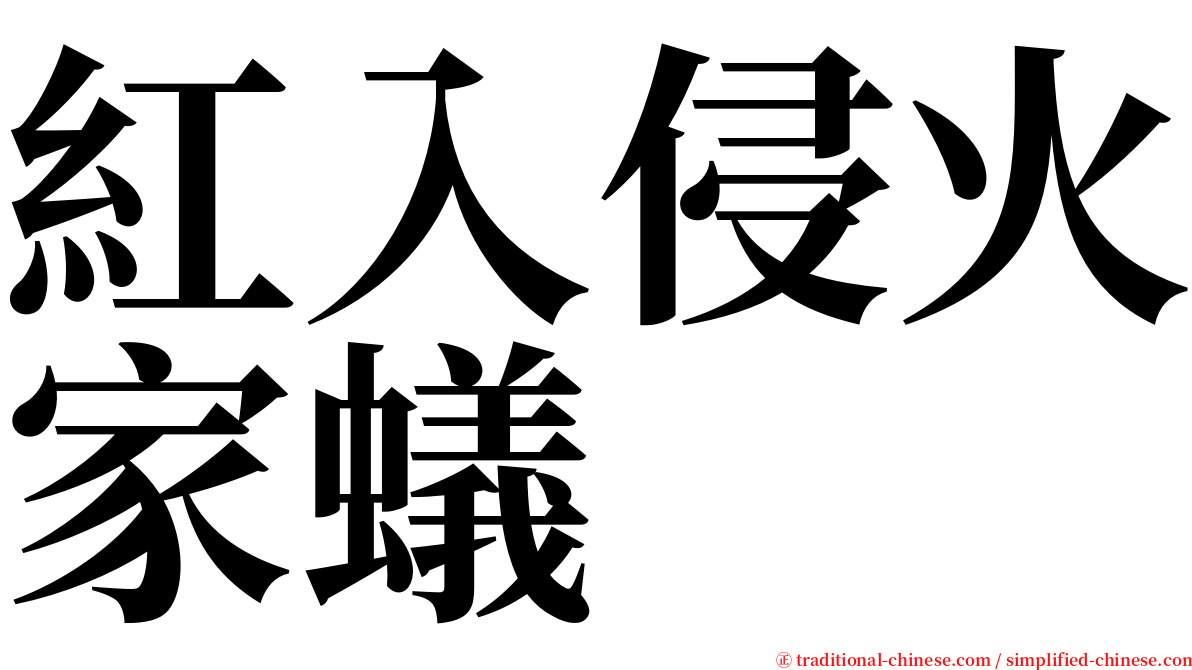 紅入侵火家蟻 serif font