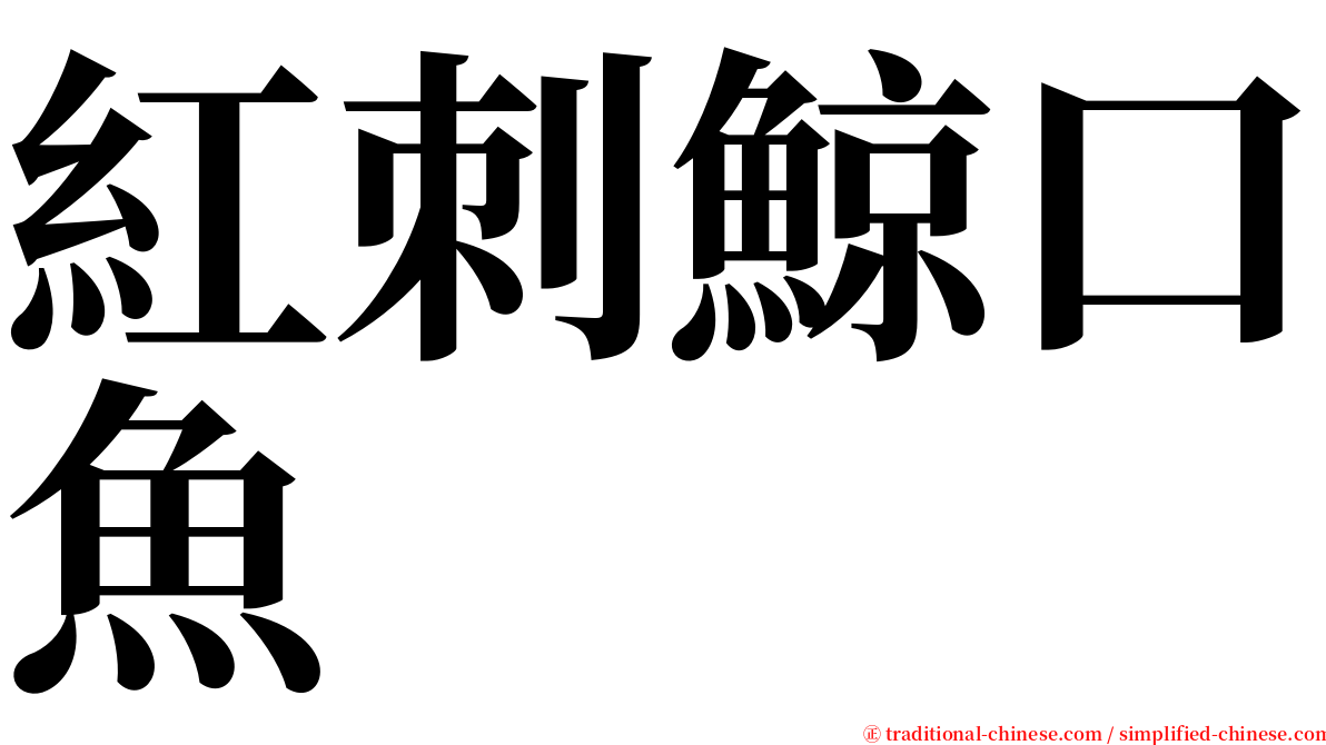 紅刺鯨口魚 serif font