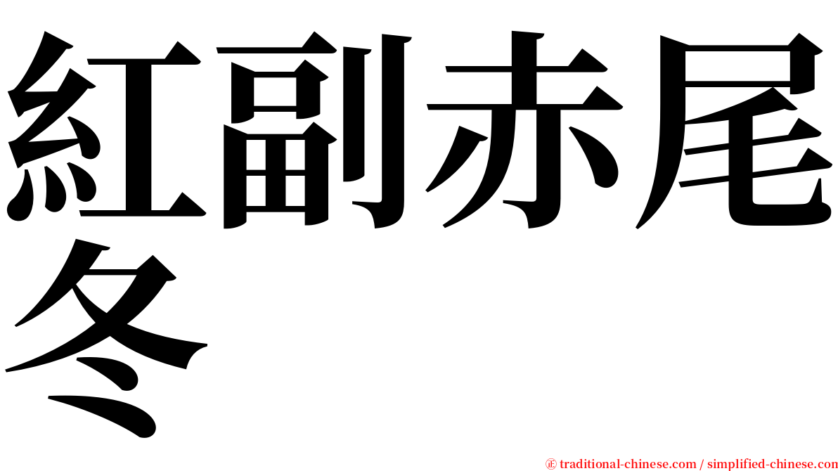 紅副赤尾冬 serif font