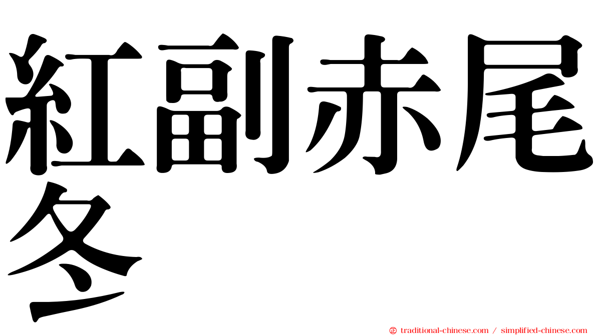 紅副赤尾冬