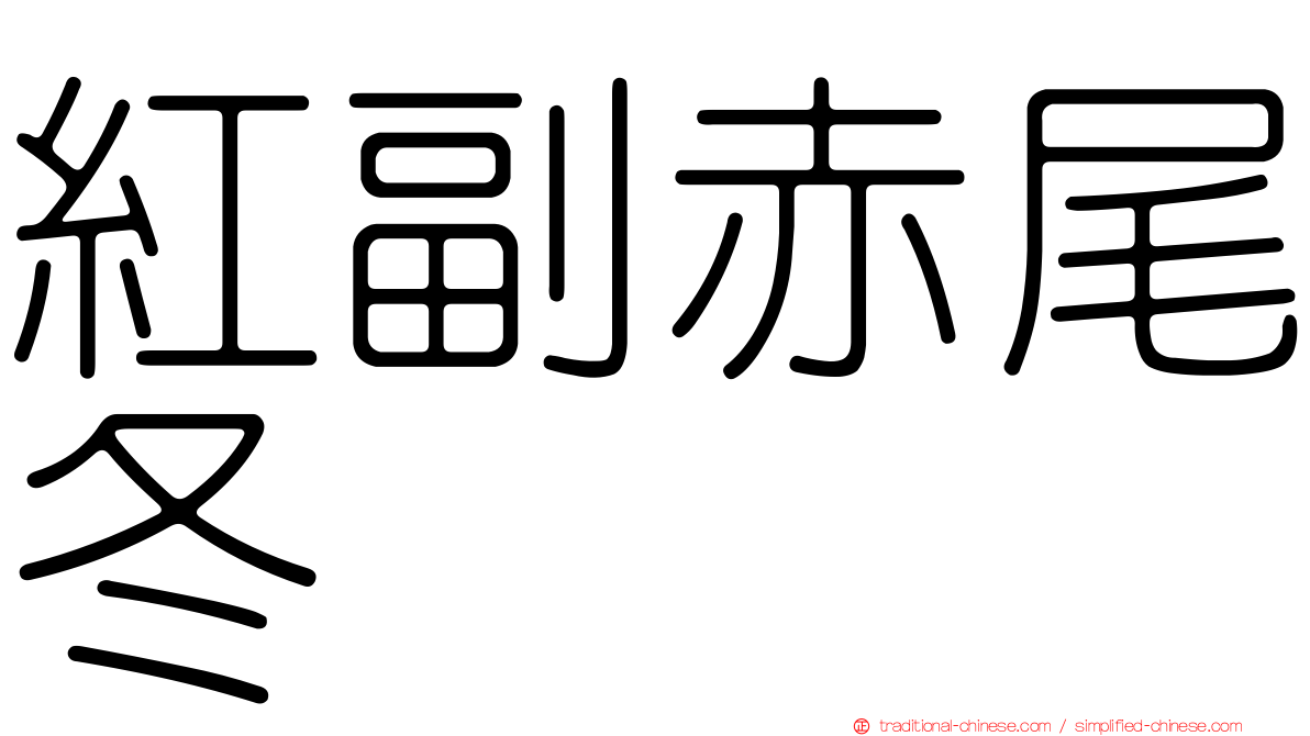 紅副赤尾冬