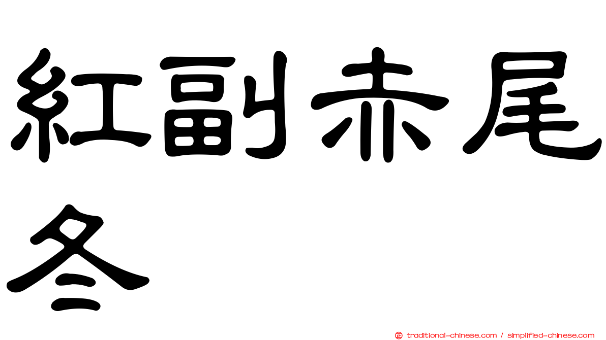 紅副赤尾冬