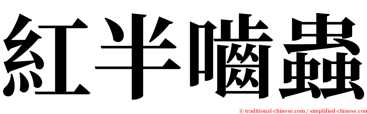 紅半嚙蟲 serif font