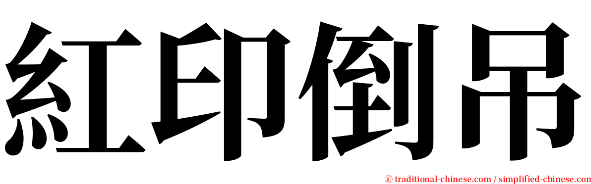 紅印倒吊 serif font