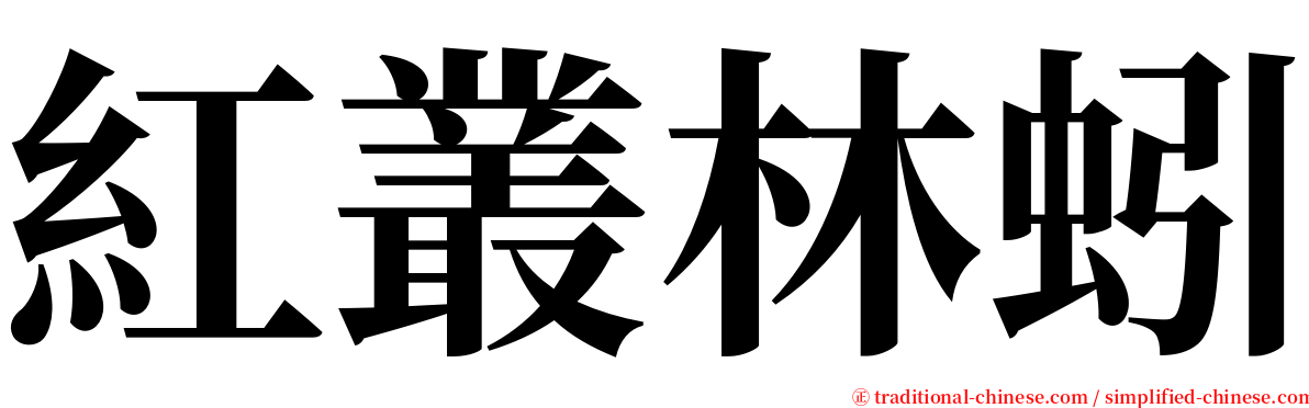 紅叢林蚓 serif font