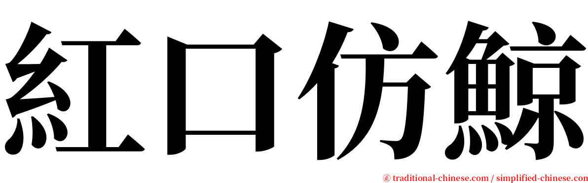 紅口仿鯨 serif font