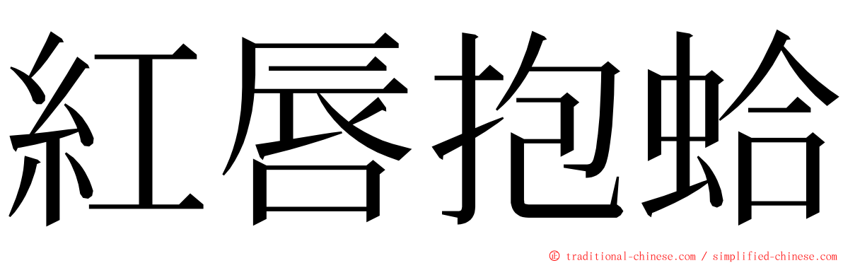 紅唇抱蛤 ming font