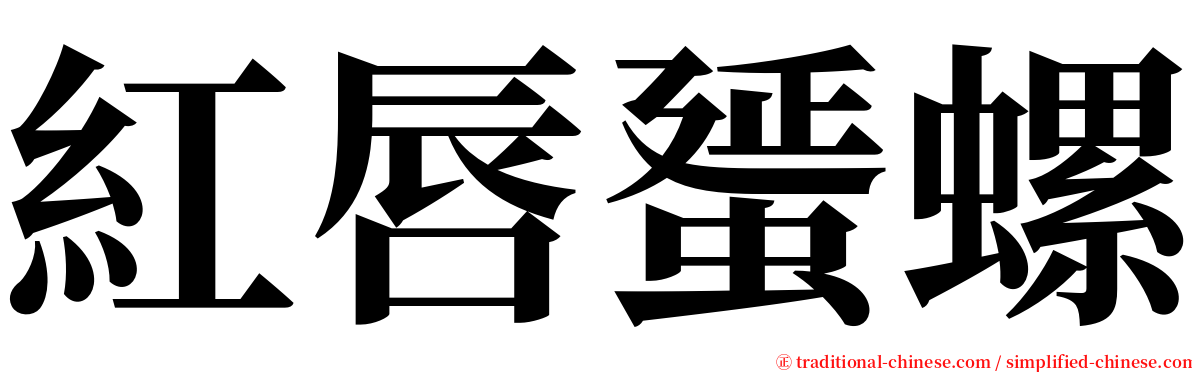 紅唇蜑螺 serif font