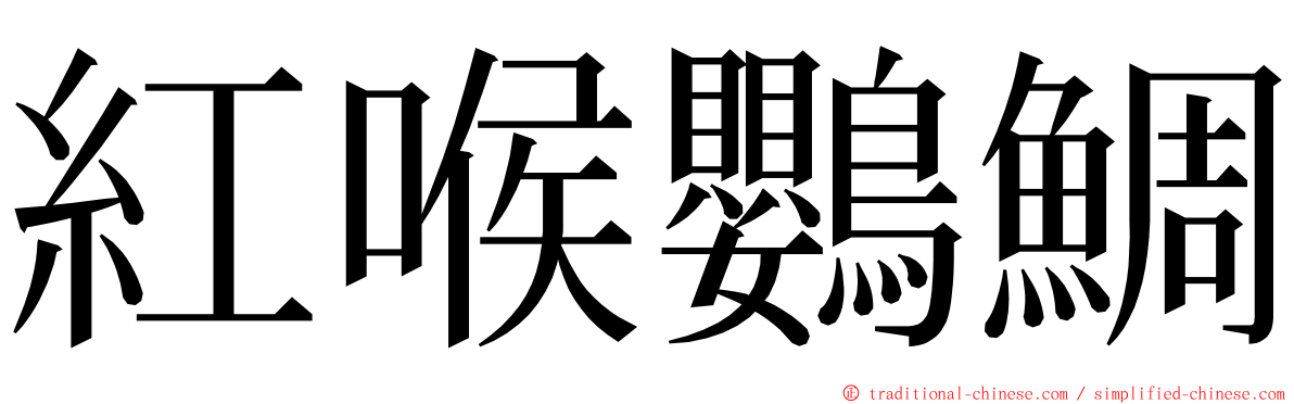 紅喉鸚鯛 ming font