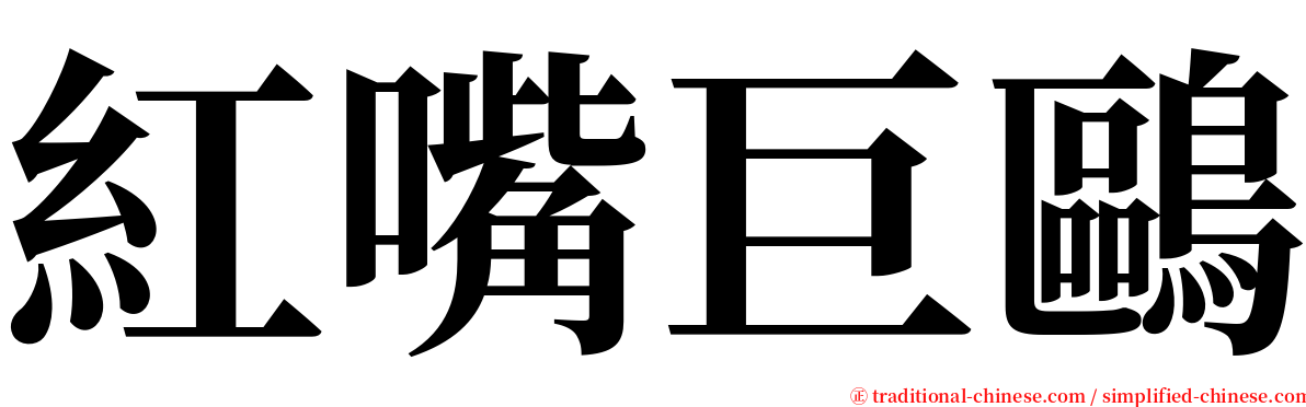 紅嘴巨鷗 serif font