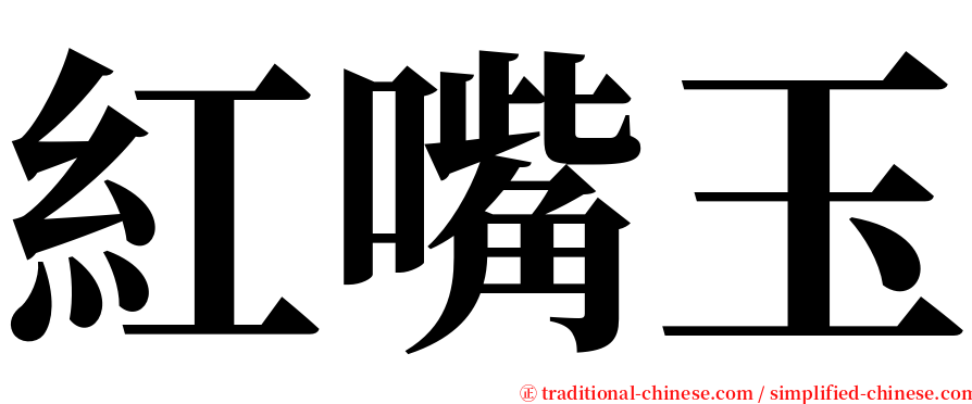 紅嘴玉 serif font