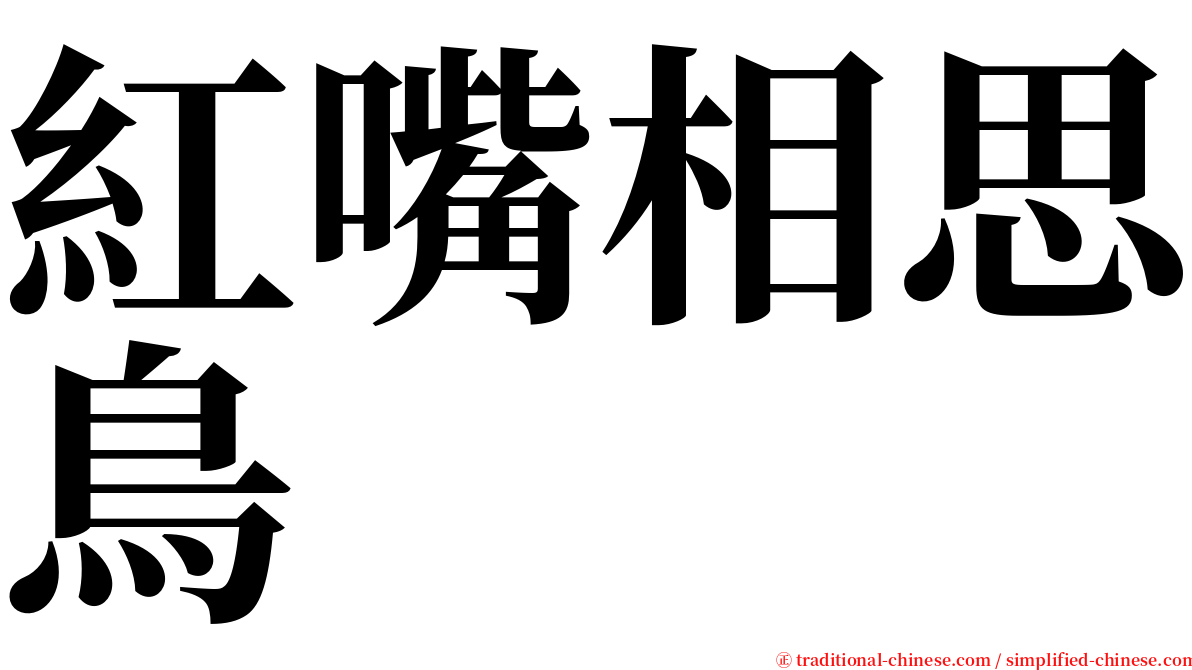 紅嘴相思鳥 serif font