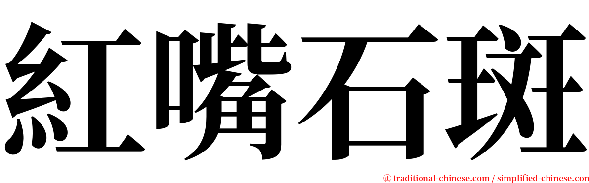 紅嘴石斑 serif font