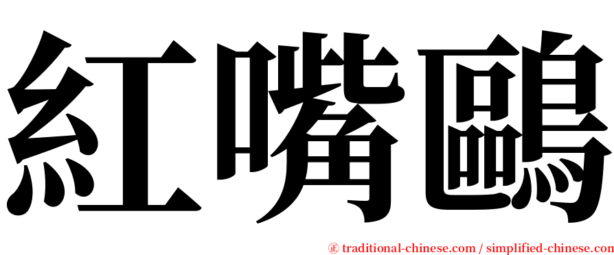 紅嘴鷗 serif font