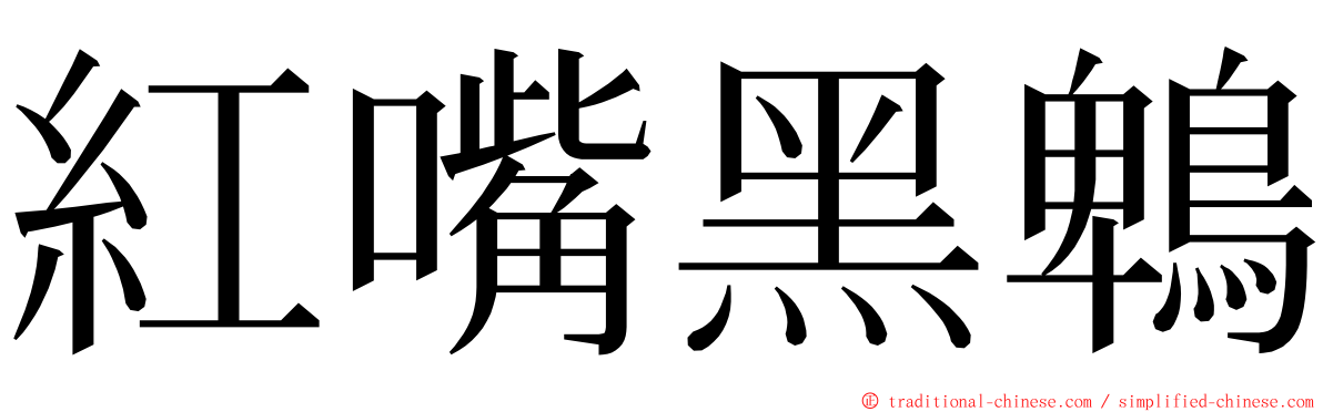 紅嘴黑鵯 ming font