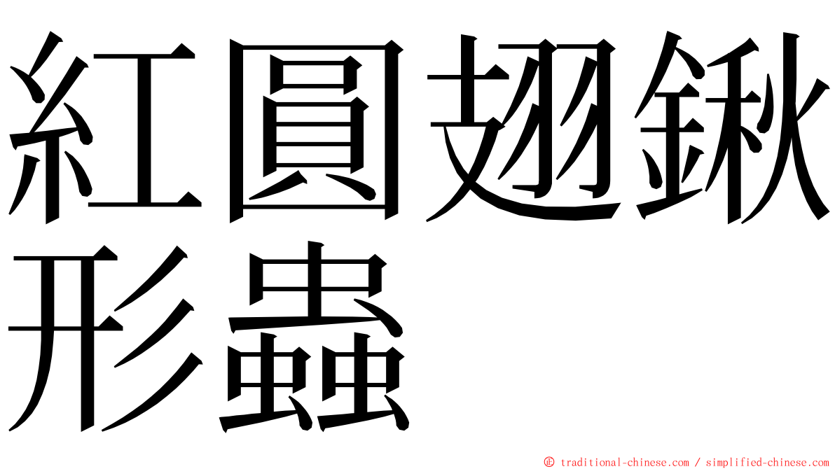 紅圓翅鍬形蟲 ming font