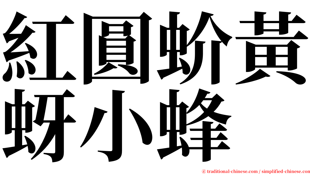 紅圓蚧黃蚜小蜂 serif font