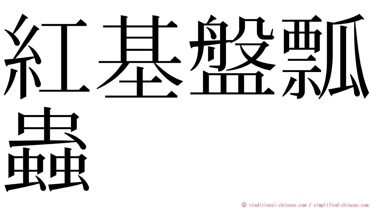 紅基盤瓢蟲 ming font