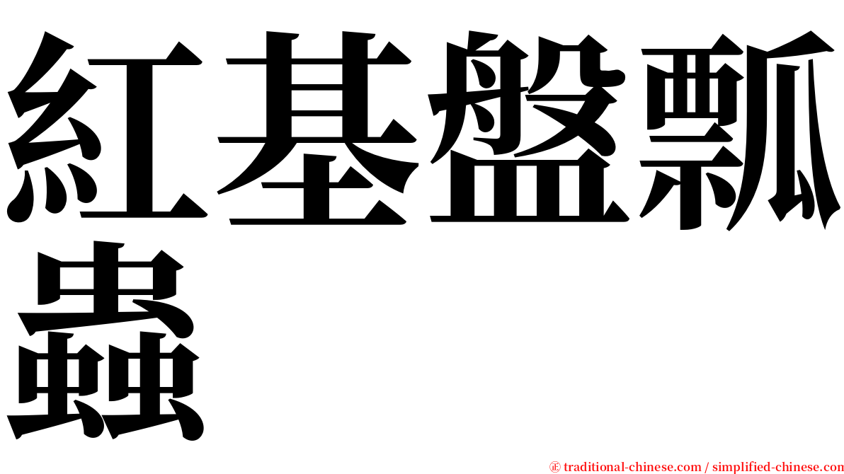 紅基盤瓢蟲 serif font