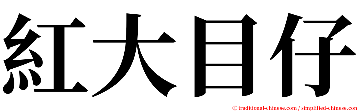 紅大目仔 serif font