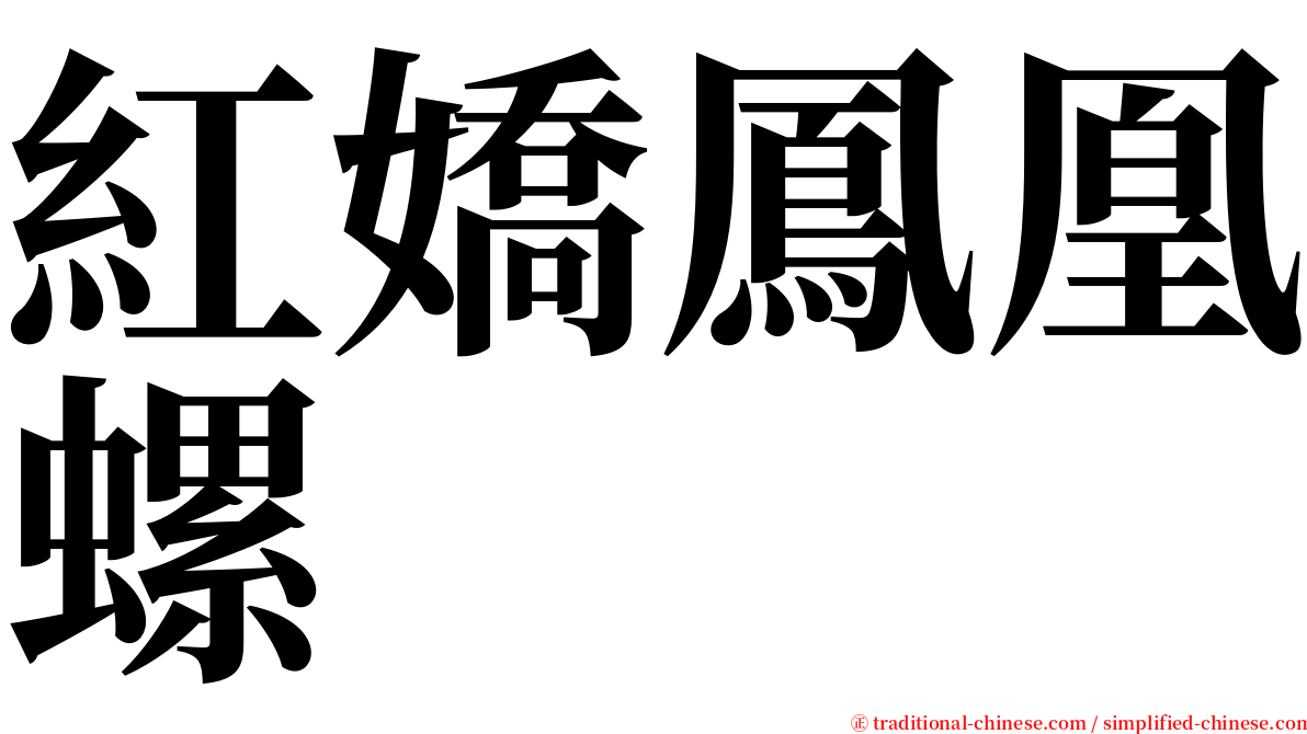 紅嬌鳳凰螺 serif font