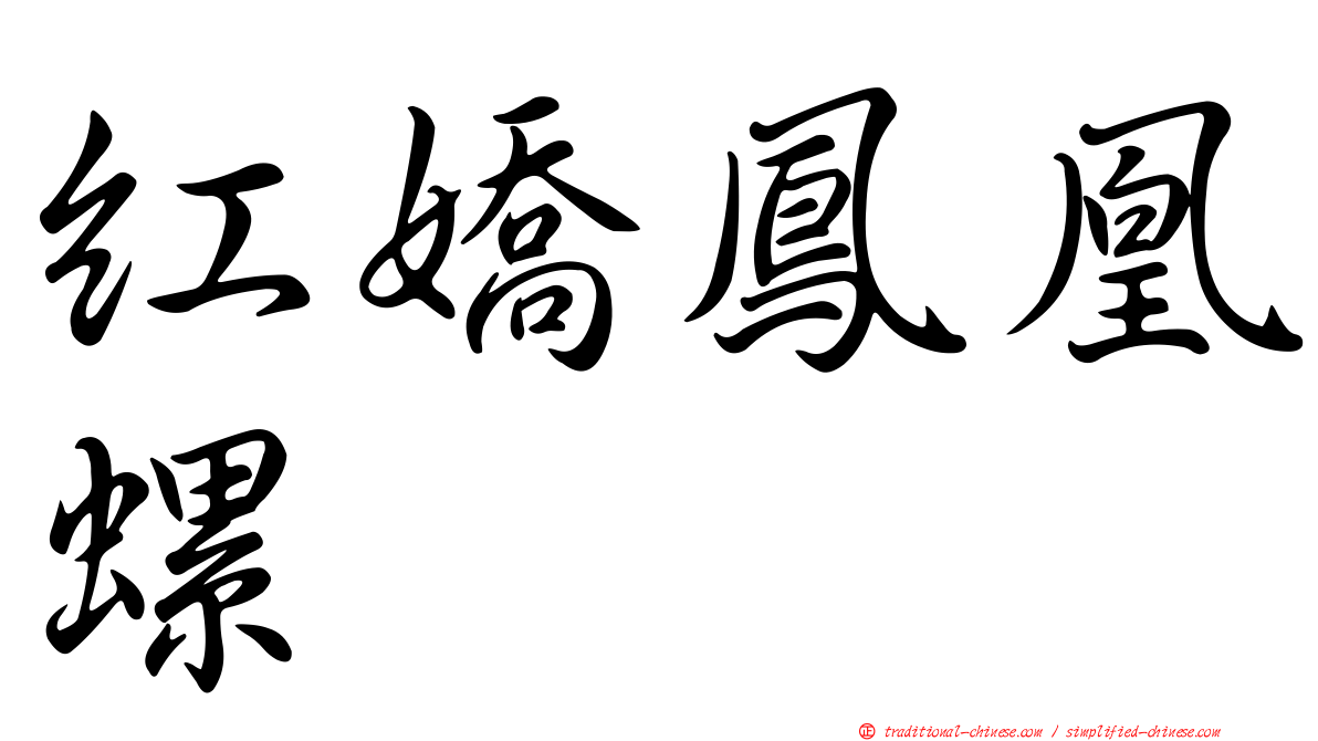 紅嬌鳳凰螺