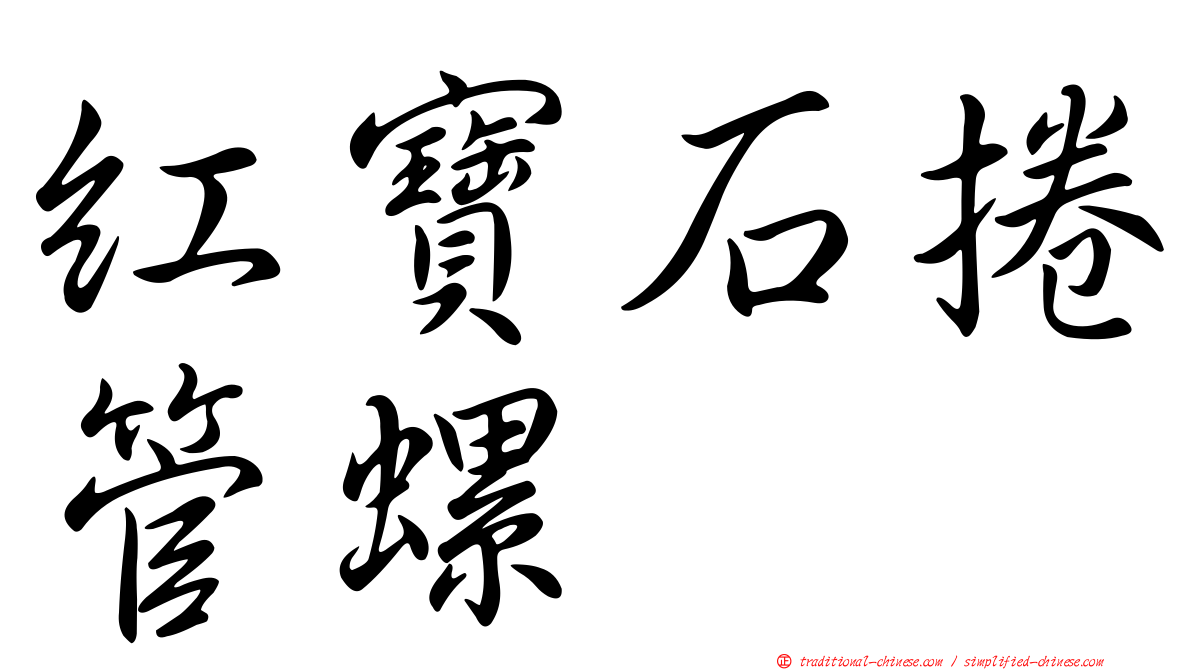 紅寶石捲管螺