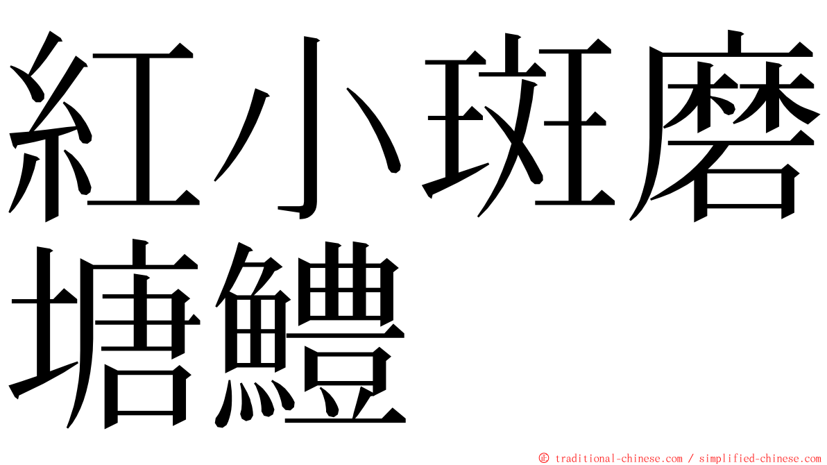 紅小斑磨塘鱧 ming font