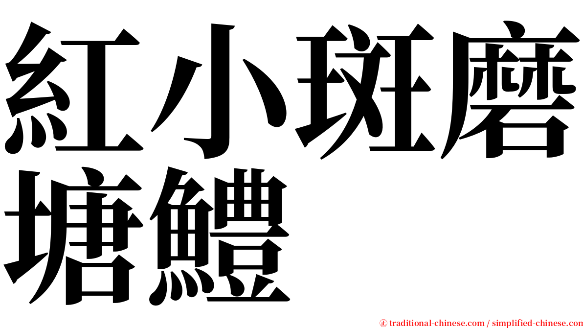 紅小斑磨塘鱧 serif font