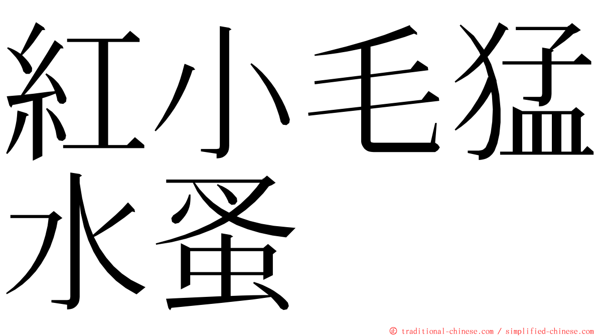 紅小毛猛水蚤 ming font