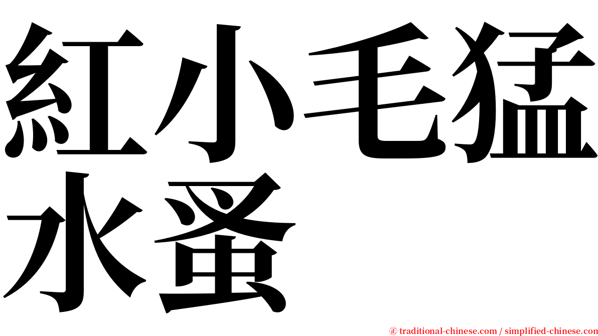 紅小毛猛水蚤 serif font