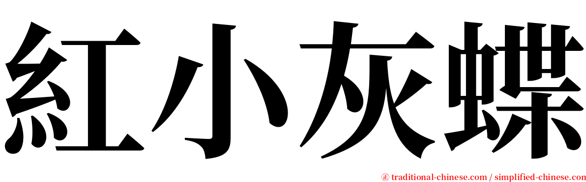 紅小灰蝶 serif font