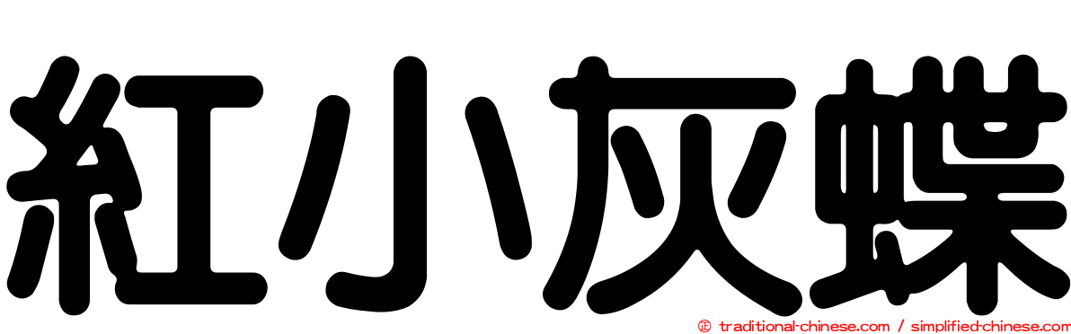 紅小灰蝶