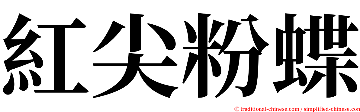 紅尖粉蝶 serif font