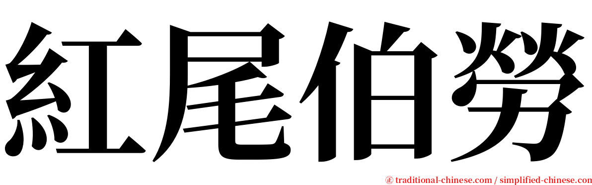 紅尾伯勞 serif font