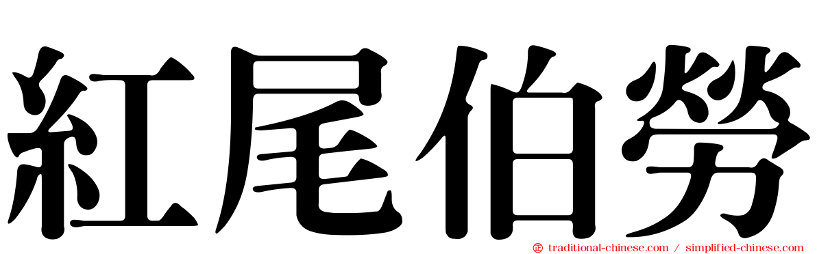 紅尾伯勞