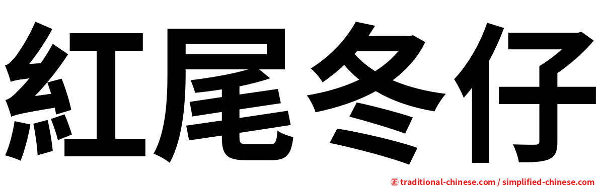 紅尾冬仔