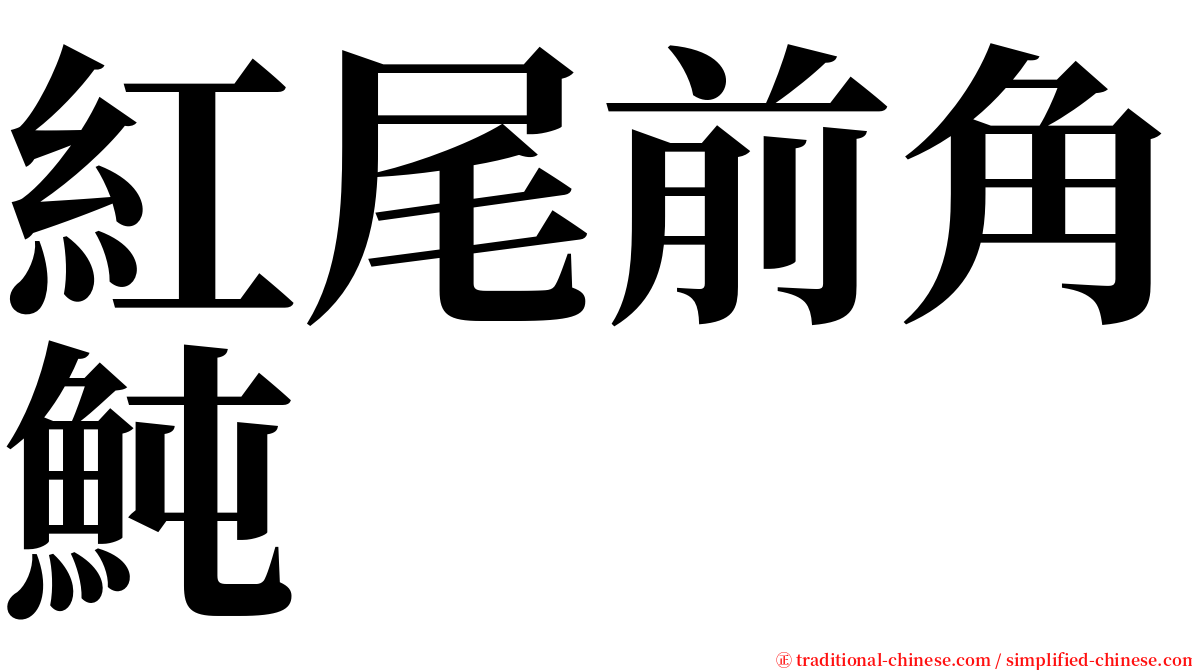 紅尾前角魨 serif font