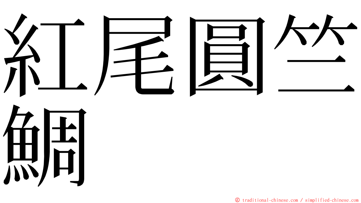 紅尾圓竺鯛 ming font