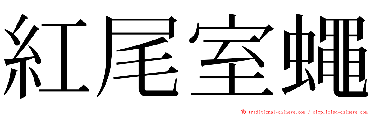 紅尾室蠅 ming font