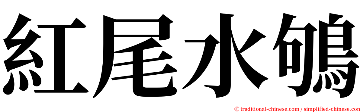 紅尾水鴝 serif font