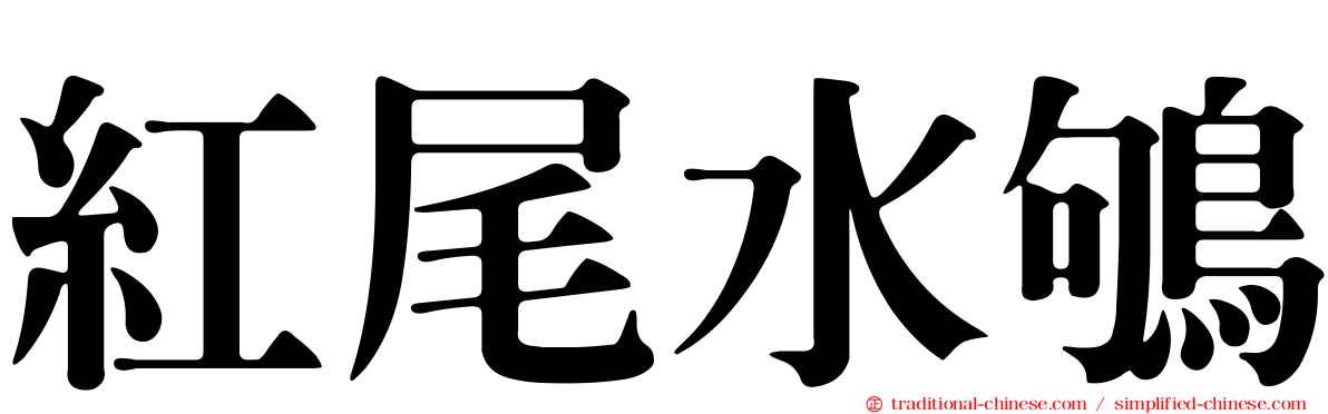 紅尾水鴝