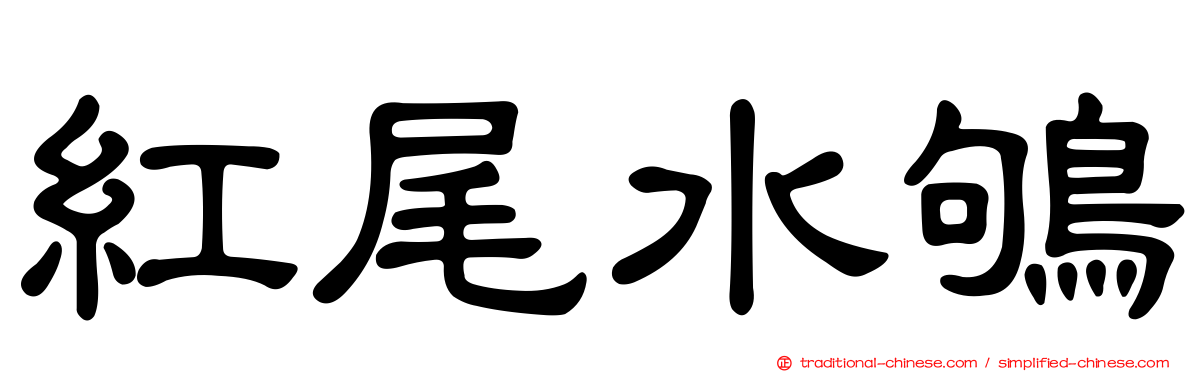 紅尾水鴝