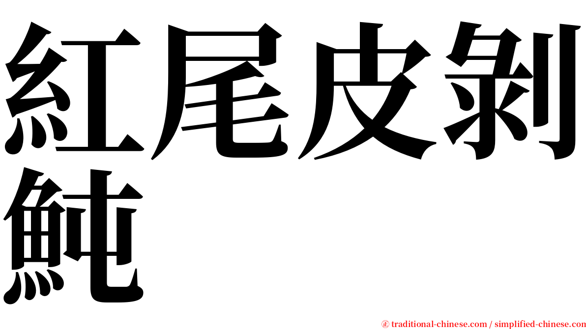 紅尾皮剝魨 serif font