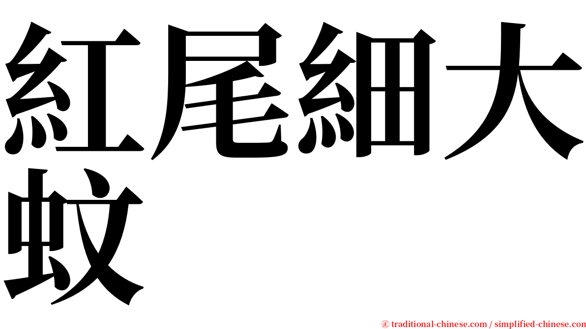 紅尾細大蚊 serif font