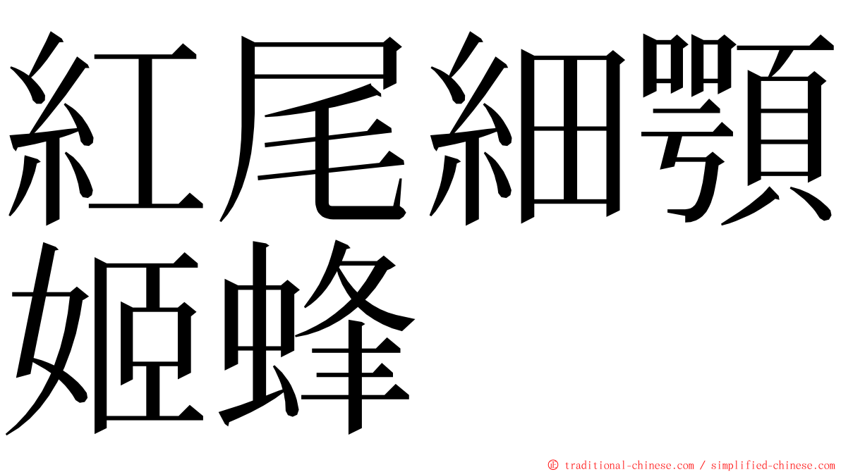 紅尾細顎姬蜂 ming font