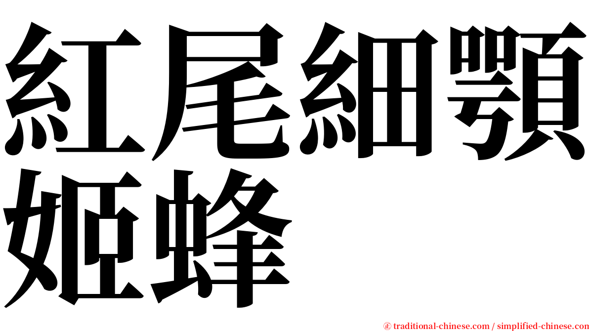 紅尾細顎姬蜂 serif font