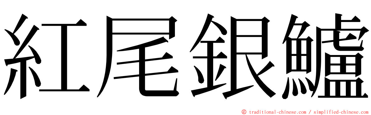 紅尾銀鱸 ming font