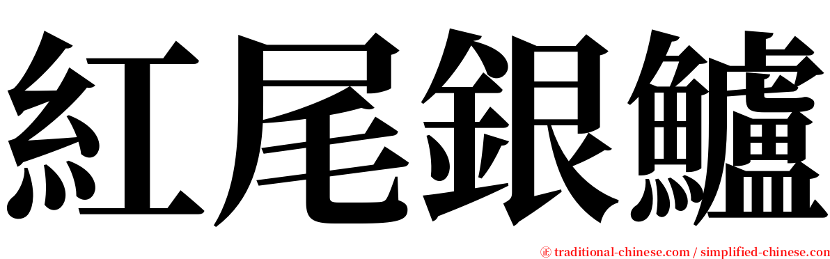 紅尾銀鱸 serif font