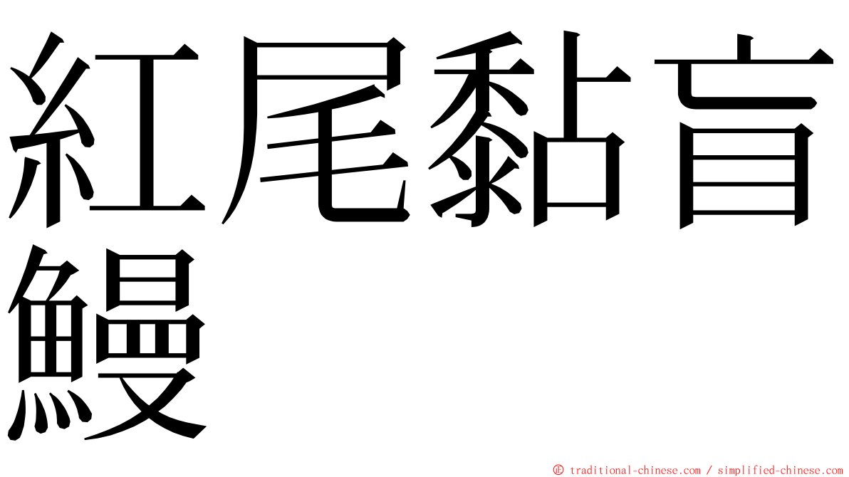 紅尾黏盲鰻 ming font